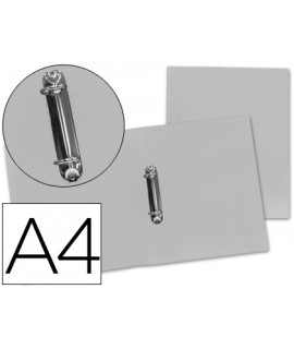 Folder liderpapel 2 mixed rings 25 mm 43474 polypropylene DIN A4 transparent frosty series