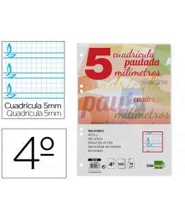 Replacement liderpapel fourth guide guide 100 sheets 75 g gridded patterned 5 mm with margin 6 holes