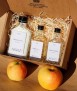 DIY Biomaterials Kit, English