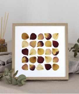 Geometric Herbarium Rose Petals
