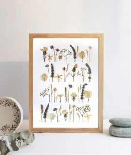 Geometric Herbarium LXL09