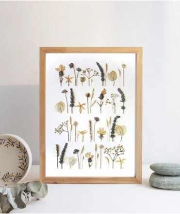 Geometric Herbarium LXL09