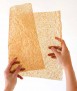 Kit de Biomaterials DIY, català 