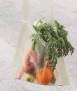 Kit de Biomateriales DIY, inglés