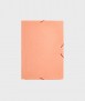 Folder with flaps. Size: 35x25 cm. Leather colour. Matte finish