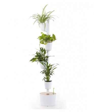 Vertical test holder, white