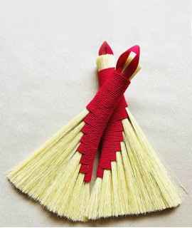 m broom in Tampico
