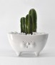 Jardinera Miss Daisy, Blanco