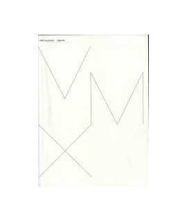 VMX Architects : Agenda