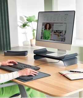 Leitz Ergo Adjustable Monitor Stand, Gray