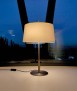 Diana table lamp