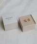 Golden Palette Earrings