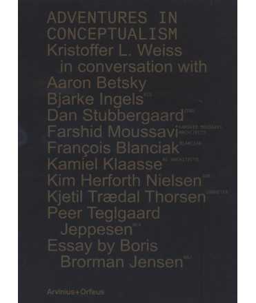 ADVENTURES IN CONCEPTUALISM