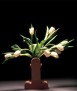 Shiva Vase