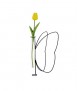 Gerro Butterfly Silhouette 