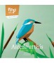 Pájaro de papel - Alcedo Atthis