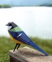 Paper bird - Parus Major
