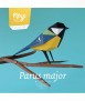 Paper bird - Parus Major