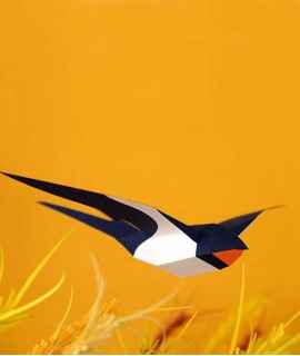 Paper Bird - Hirundo Rustica