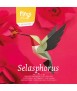 Paper bird - Selasphorus platycercus