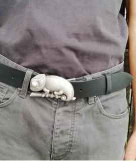 Chameleon Belt
