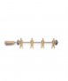 Wall Champions 4 Coat Rack, Gold