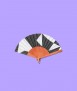 Shadow Play Fan