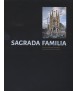 Sagrada Familia: Gaudi's Unifinished Materpiece, Geometry, Construction and Site
