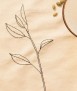 Individual Seeds N.1&N.2, 2u. 