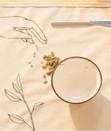 Individual Seeds N.1