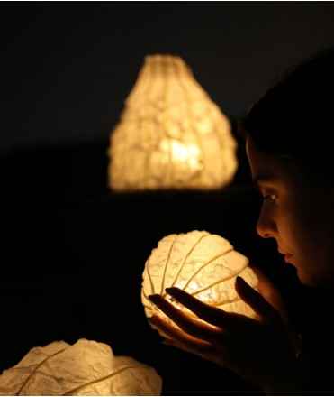 Balu Light