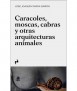 Snails, flies, goats and other animal architecture
