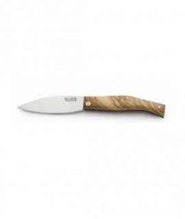 Razor clam Busa Cachas, olive tree