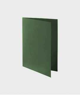 Subfolder with bag. Size: 33.8x25.6 cm. Green