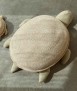 Turtle Sea Basket