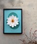 Paper flower Nymphaea alba