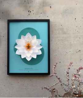 Paper flower Nymphaea alba