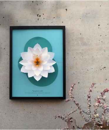 Flor de papel Nymphaea alba