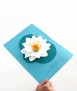 Flor de papel Nymphaea alba