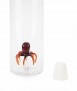 Botella Atlantis Octopus, 1,2 L.