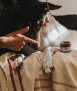 Crema bàlsam per a gossos