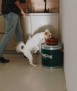 Feed drum, 40 l.