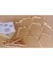 Leonardo's Domes Building Game