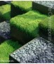 Contemporary garden, The