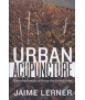 Urban Acunpuncture Celebrating Pinpricks of Change that Enrich City Life.
