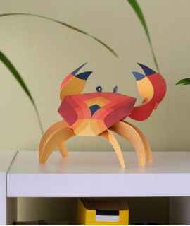 Paper crab - Cancridae