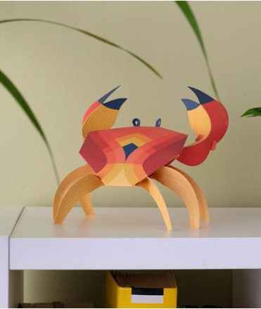 Paper crab - Cancridae