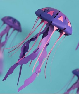 Medusa de papel - Chrysaora