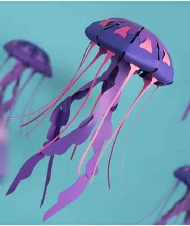 Medusa de paper - Chrysaora