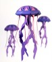 Paper jellyfish - Chrysaora